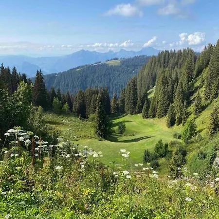 Authentic Located In The Le Grand Massif Area 公寓