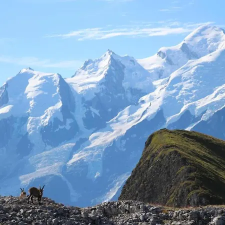 Authentic Located In The Le Grand Massif Area 公寓 Arâches