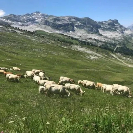 Authentic Located In The Le Grand Massif Area * Arâches
